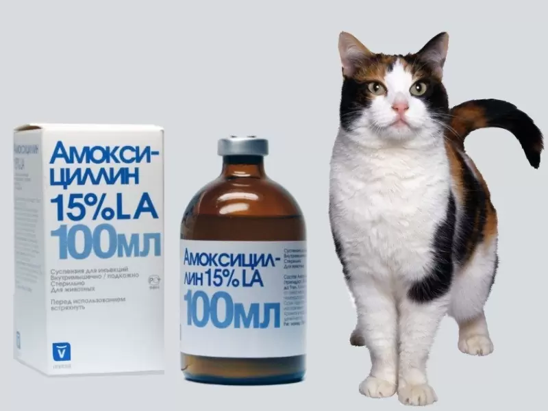 амоксицилин