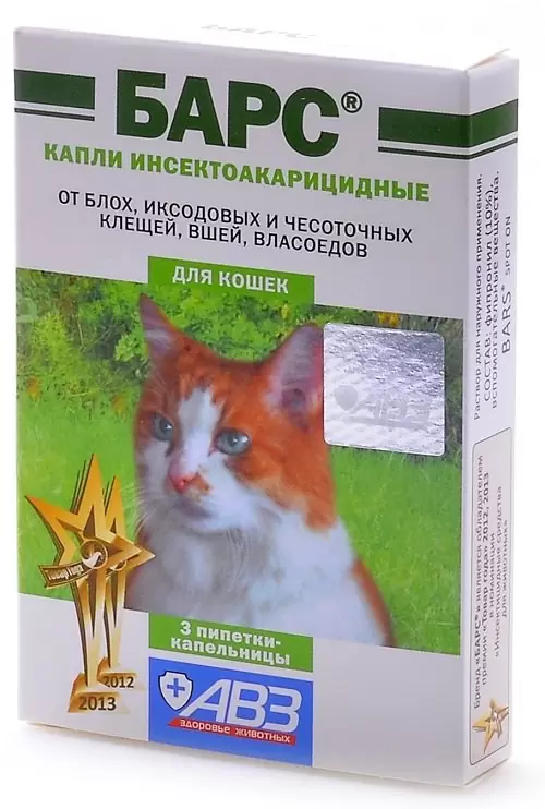 барс