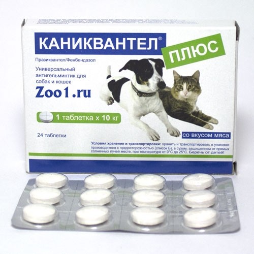 Каниквантел для кошек: описание препарата, состав, дозировка