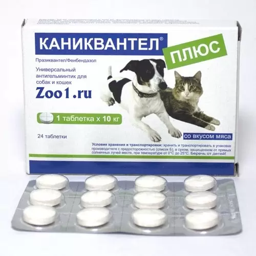 каниквантел