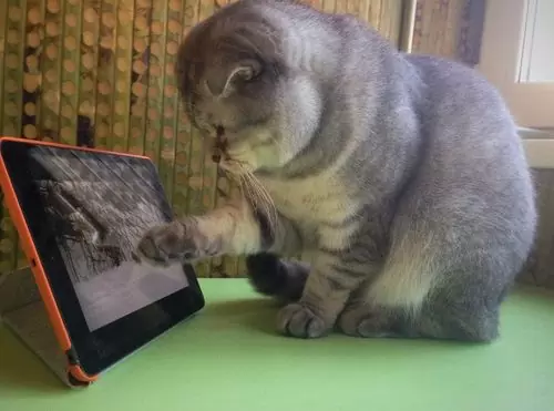 видео