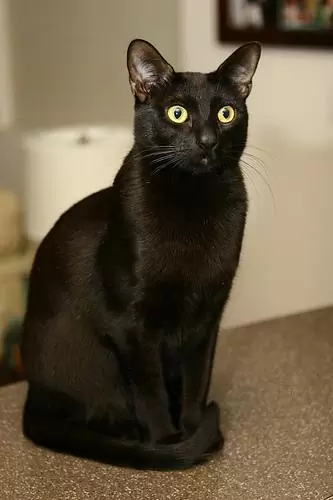 характер