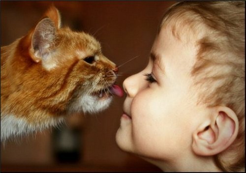 лечение кошками детей