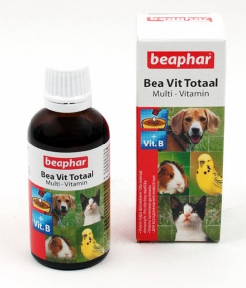витамин b для кошек